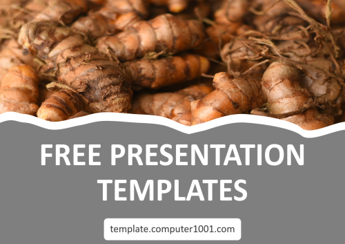 Turmeric PPT Template